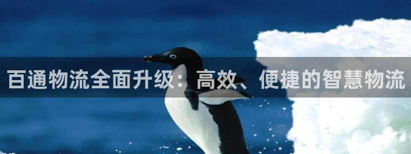 豪门国际娱乐官网网页下载：百通物流全