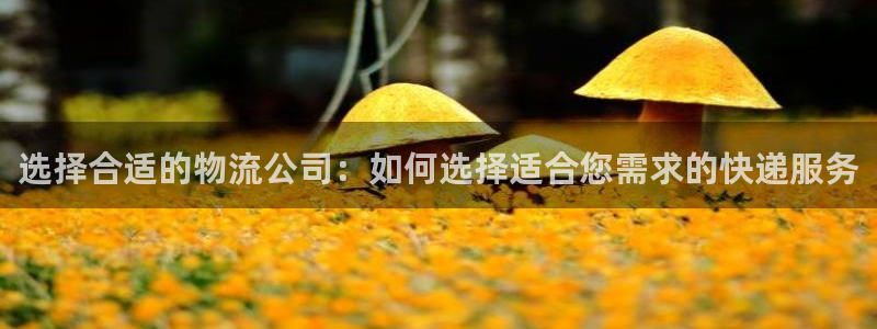 豪门国际模拟器：选择合适的物流公司：