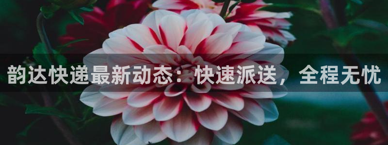 豪门国际app能退款吗：韵达快递最新