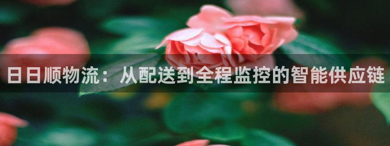豪门国际预测网：日日顺物流：从配送到全程监控的智能供应链