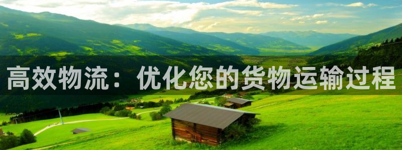 豪门国际注册流程：高效物流：优化您的