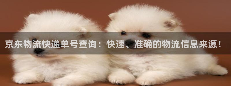南宫豪门国际官网版：京东物流快递单号