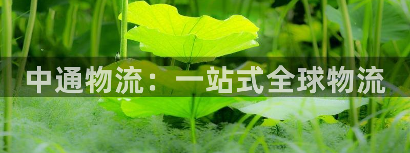 豪门国际大神预测：中通物流：一站式全