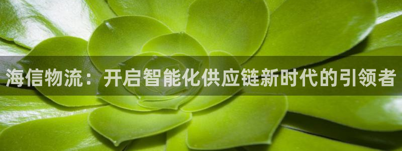 豪门国际加拿大下载：海信物流：开启智