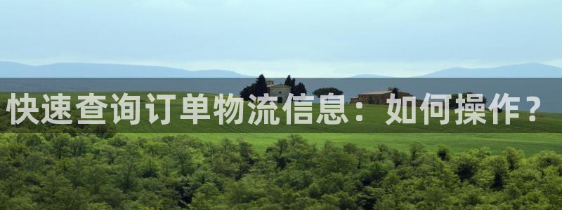 豪门国际大舞台：快速查询订单物流信息