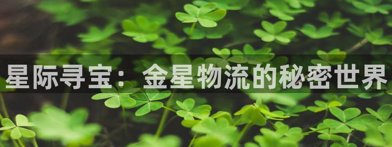 豪门国际加拿大28：星际寻宝：金星物流的秘密世界