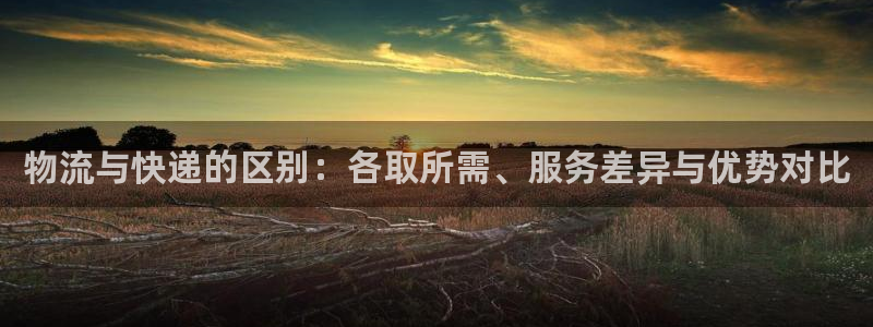 豪门国际软件堵什么反什么：物流与快递