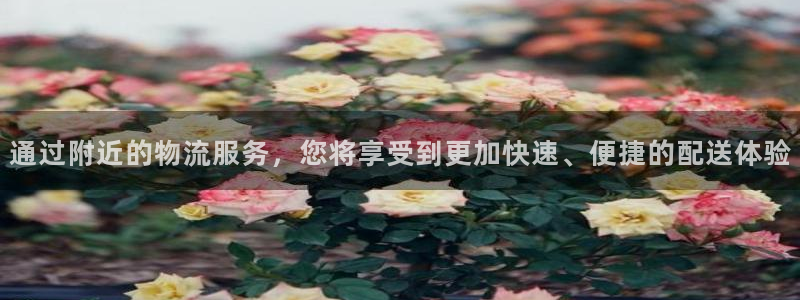 豪门国际合法吗：通过附近的物流服务，