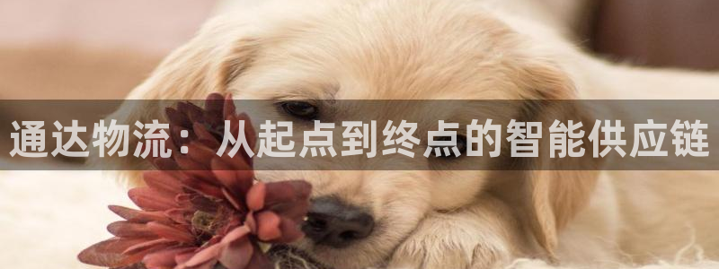豪门国际娱乐官网网页：通达物流：从起