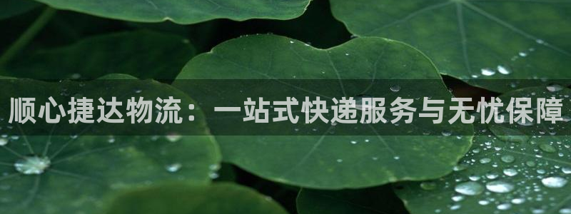豪门国际模拟器在线使用:顺心捷达物流