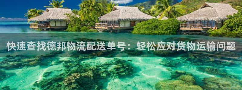 加拿大豪门国际数字规则
