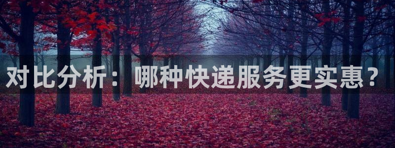 豪门国际客服电话：对比分析：哪种快递