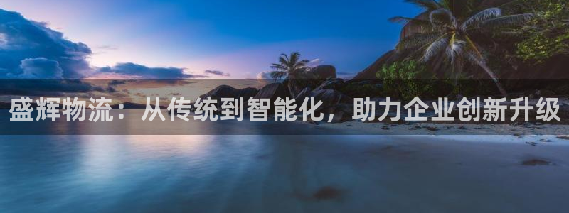 豪门国际链接是什么:盛辉物流:从传统